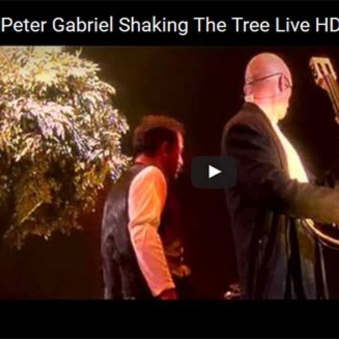 Peter Gabriel Shaking The Tree Live HD | Women's Day - March 8